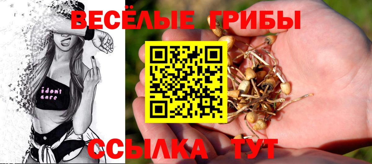 Копейск  Галлюциногенные грибы прущие грибы  Вход с VPN 