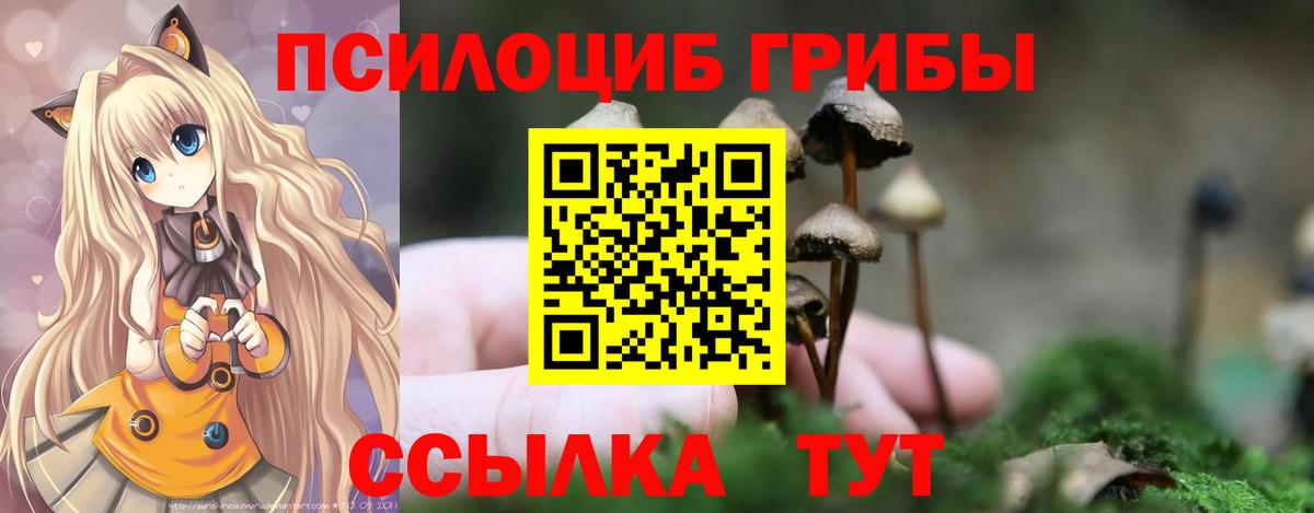 Псилоцибиновые грибы мицелий Копейск